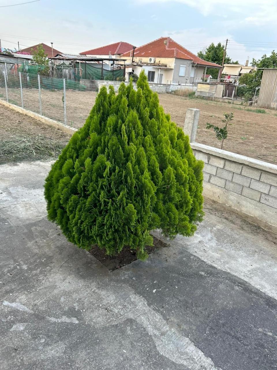 Amaya Pine Rooms Keramoti  Exterior photo